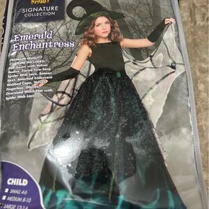 Emerald Enchantress Halloween Costume.  Girls size 12-14